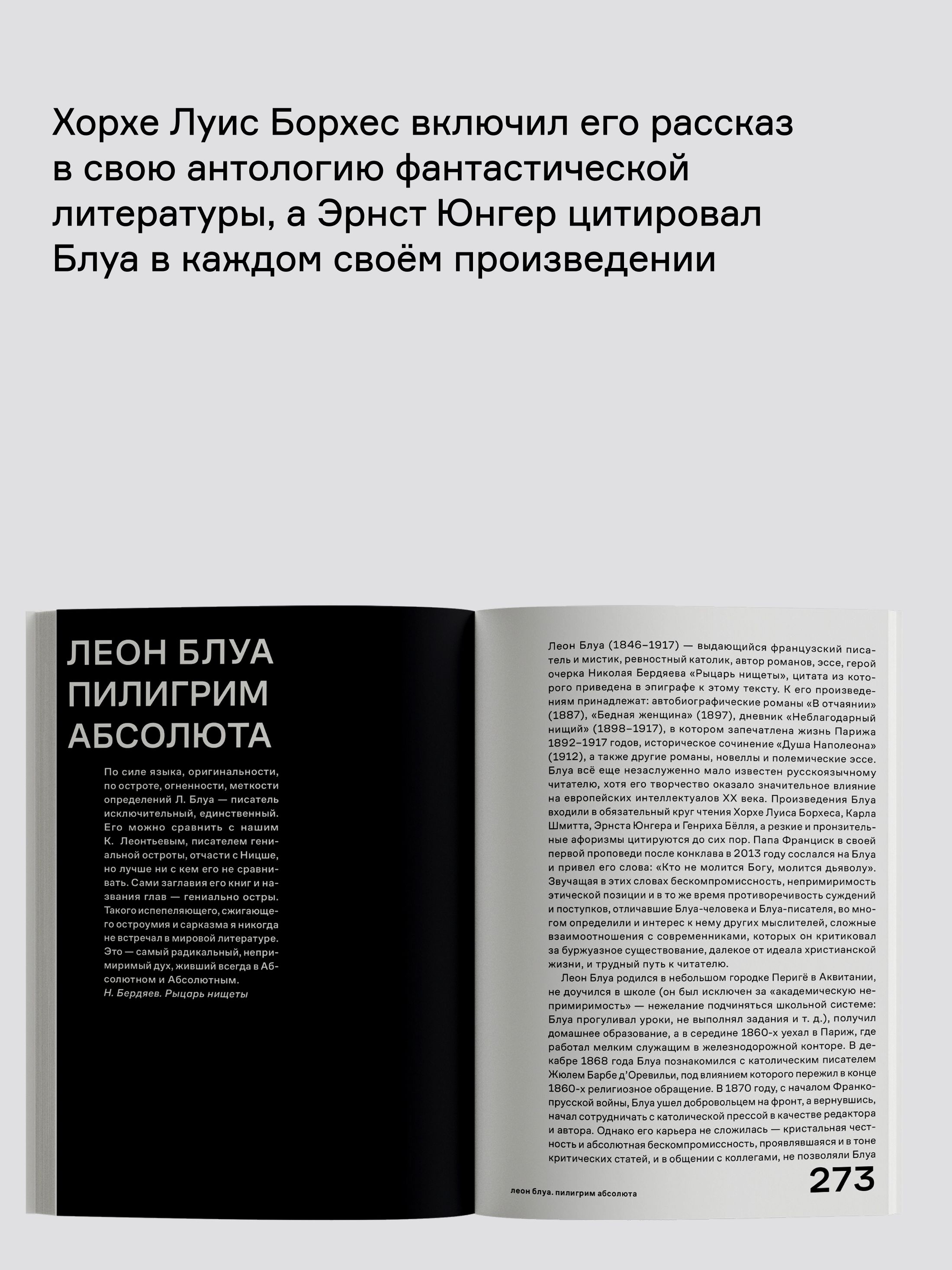 Книга Ad Marginem В отчаянии - фото 10