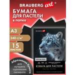 Художественная бумага Brauberg 15 лист.