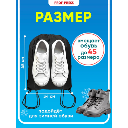 Мешок для обуви Prof-Press