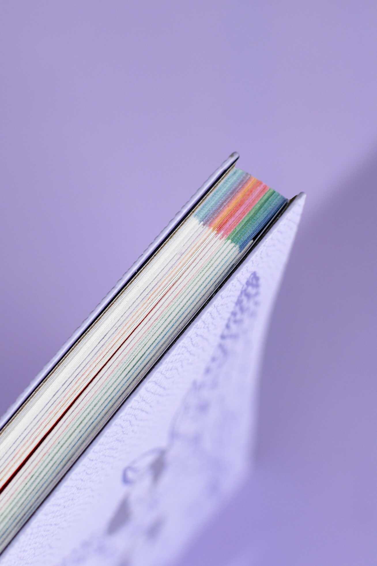 Ежедневник Феникс + ESCALADA 96 лист. - фото 10