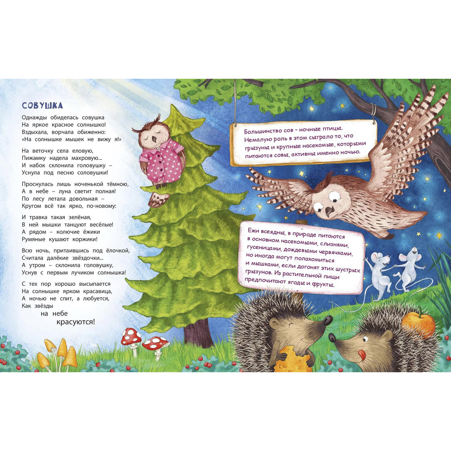 Книга ЭНАС-книга В небе и на земле - фото 6