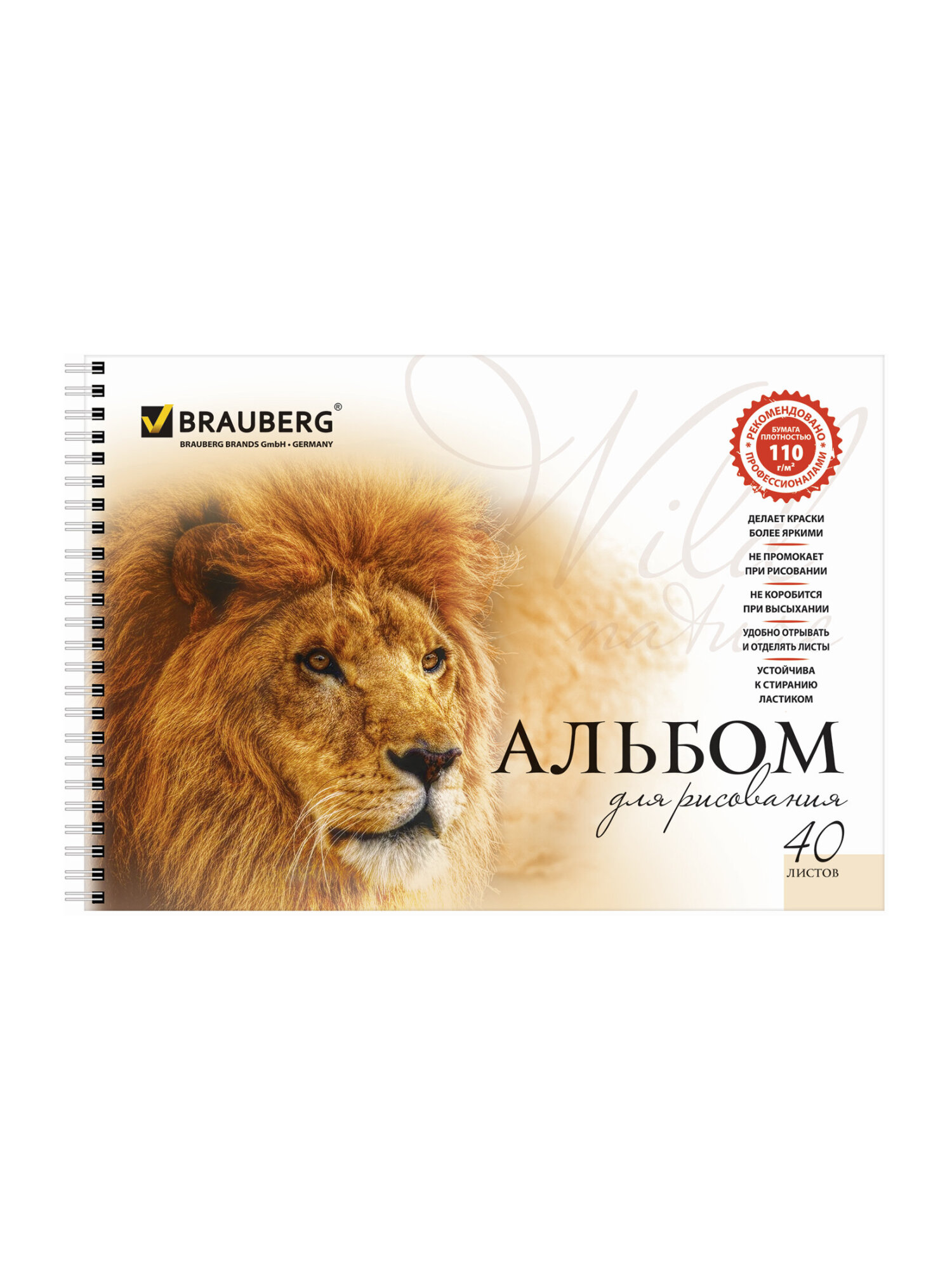 Альбом Brauberg А4 2 шт. - фото 9