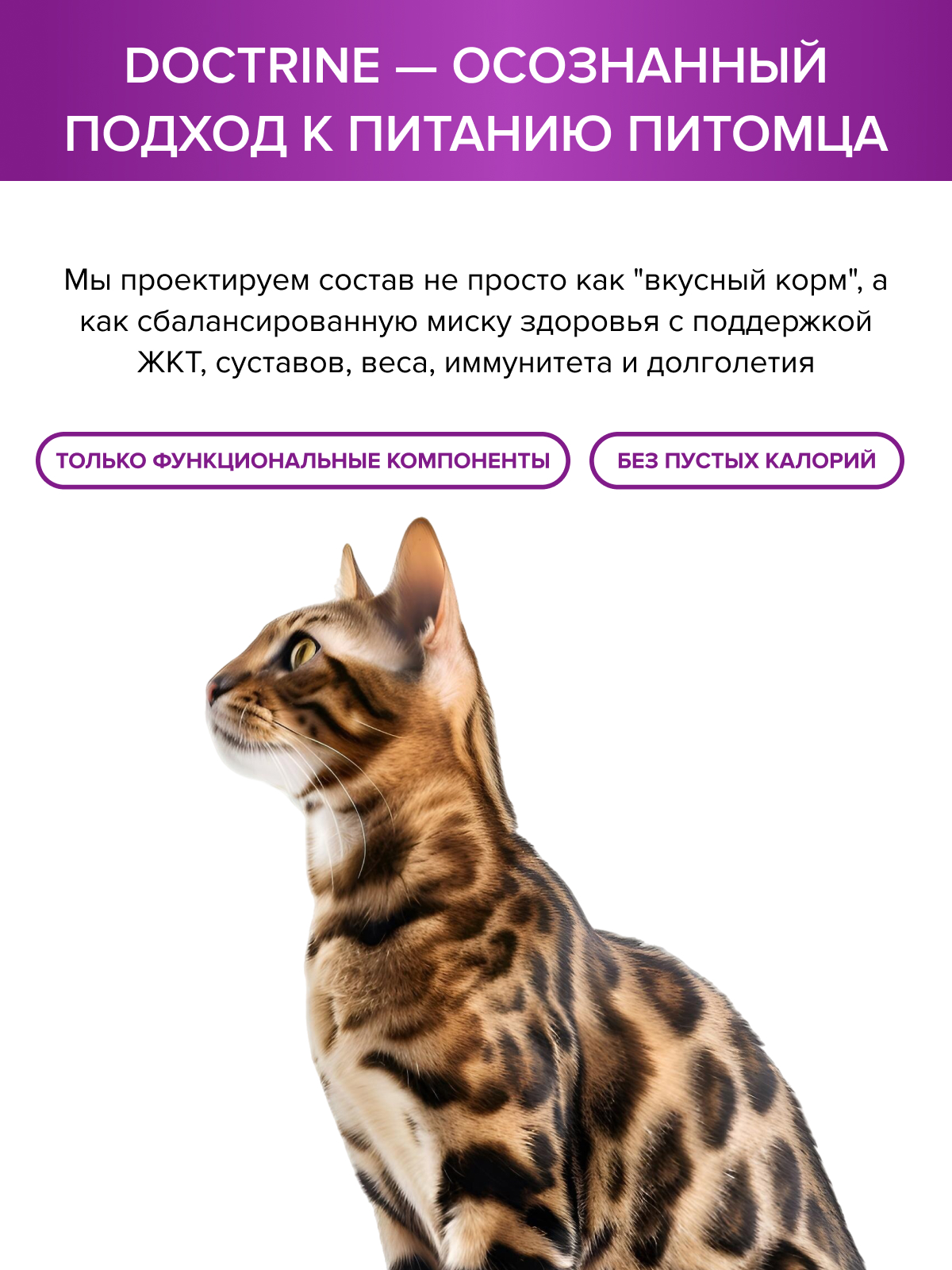 Корм для кошек DOCTRINE сухой для чувствительного пищеварения с индейкой и кроликом 3 кг - фото 10