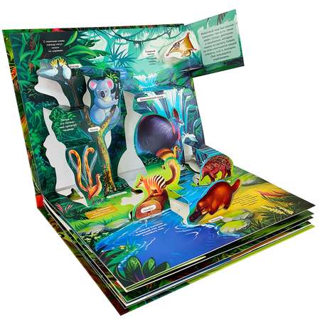 Энциклопедия-панорамка 3D Malamalama Джунгли Книжка-панорамка