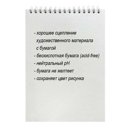 Альбом ACMELIAE А4 20 лист.