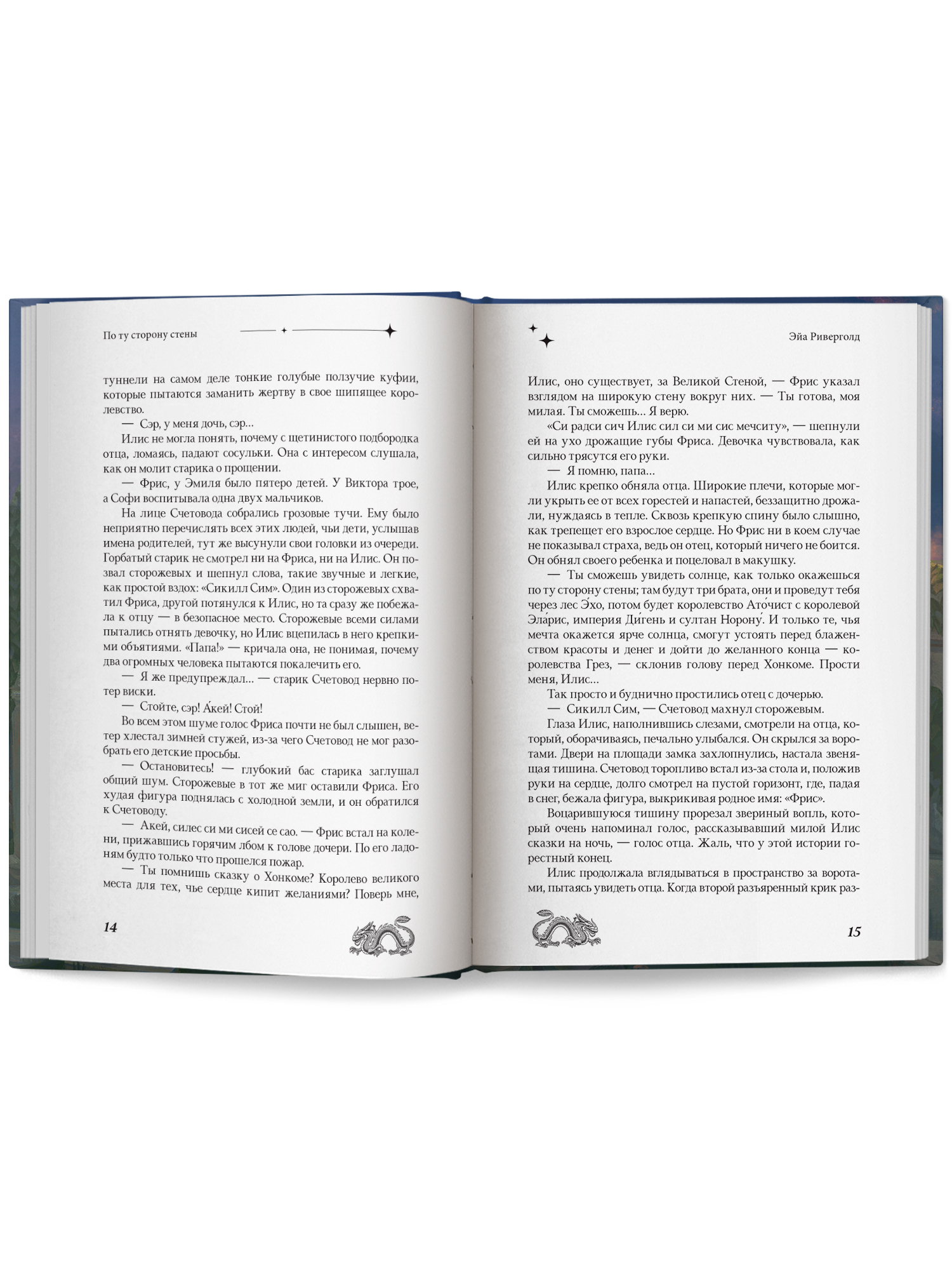 По ту сторону стены Феникс Книга - фото 13