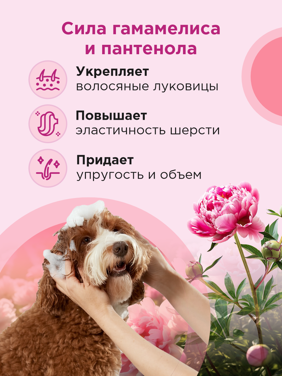 Шампунь для кошек и собак GOODR Pet Flower универсальный с ароматом Пиона 250 мл - фото 2