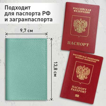 Обложка на документы Brauberg