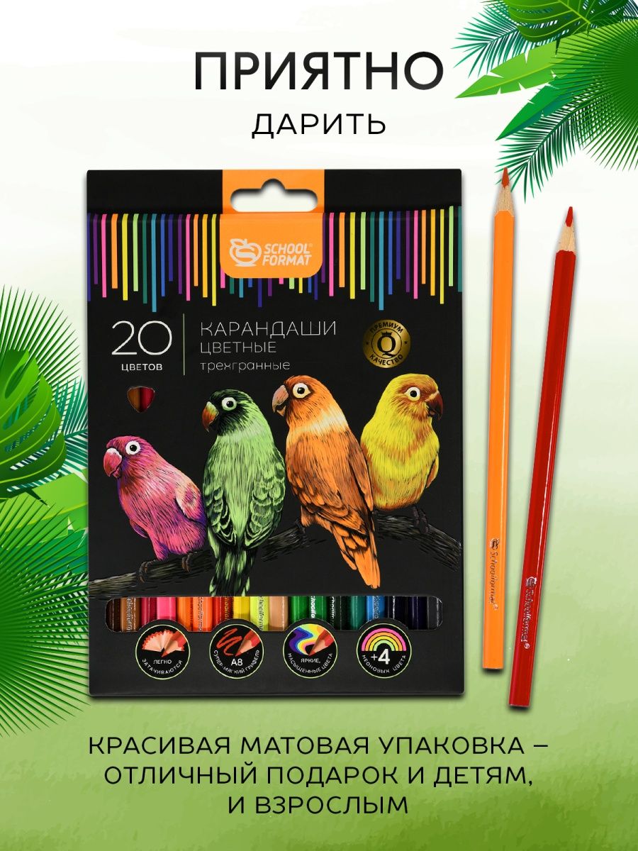 Карандаши цветные SCHOOLFORMAT 20 шт. - фото 8