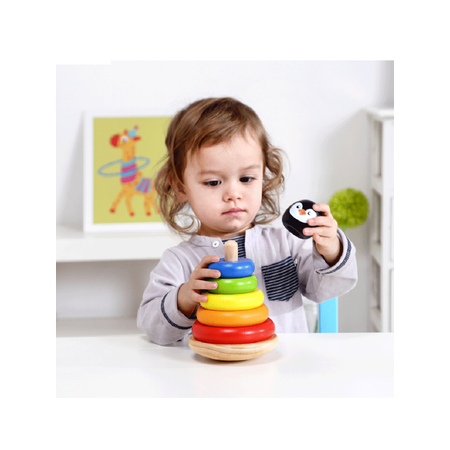 Игрушка Tooky Toy пирамидка