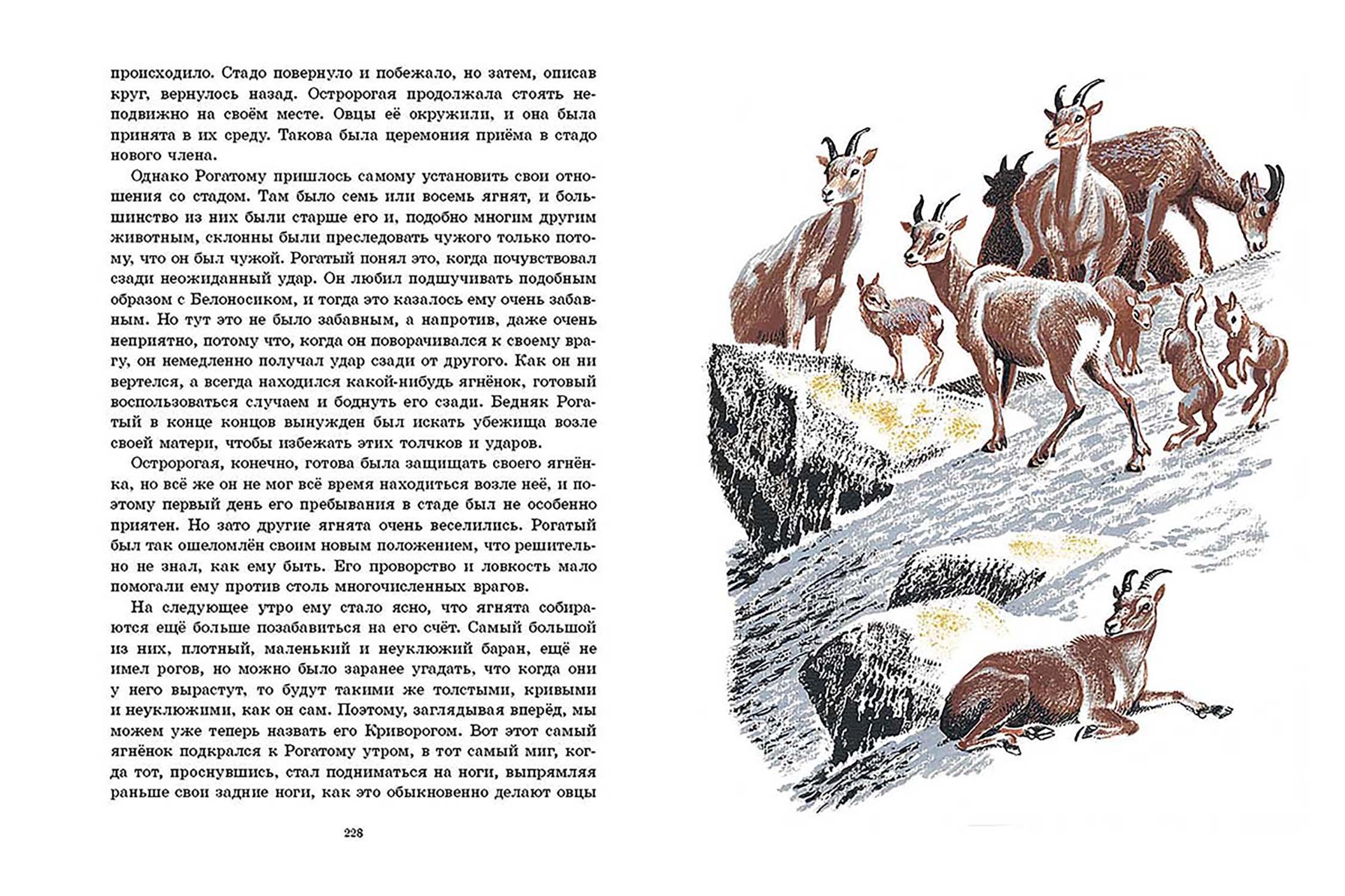 Книга Издательство Речь Рассказы о животных - фото 9