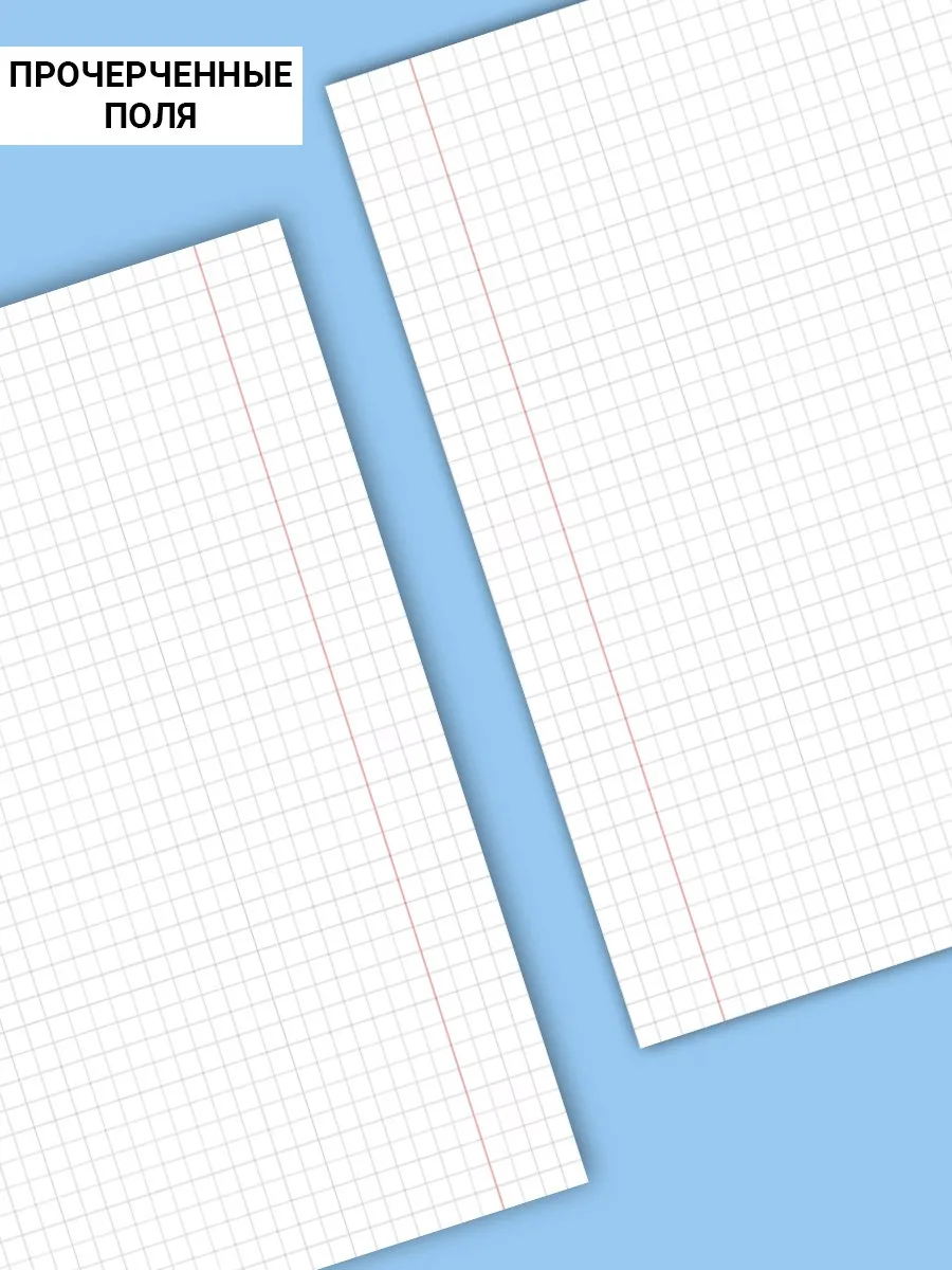 Тетрадь AXLER клетка 12 лист. 10 шт. - фото 3