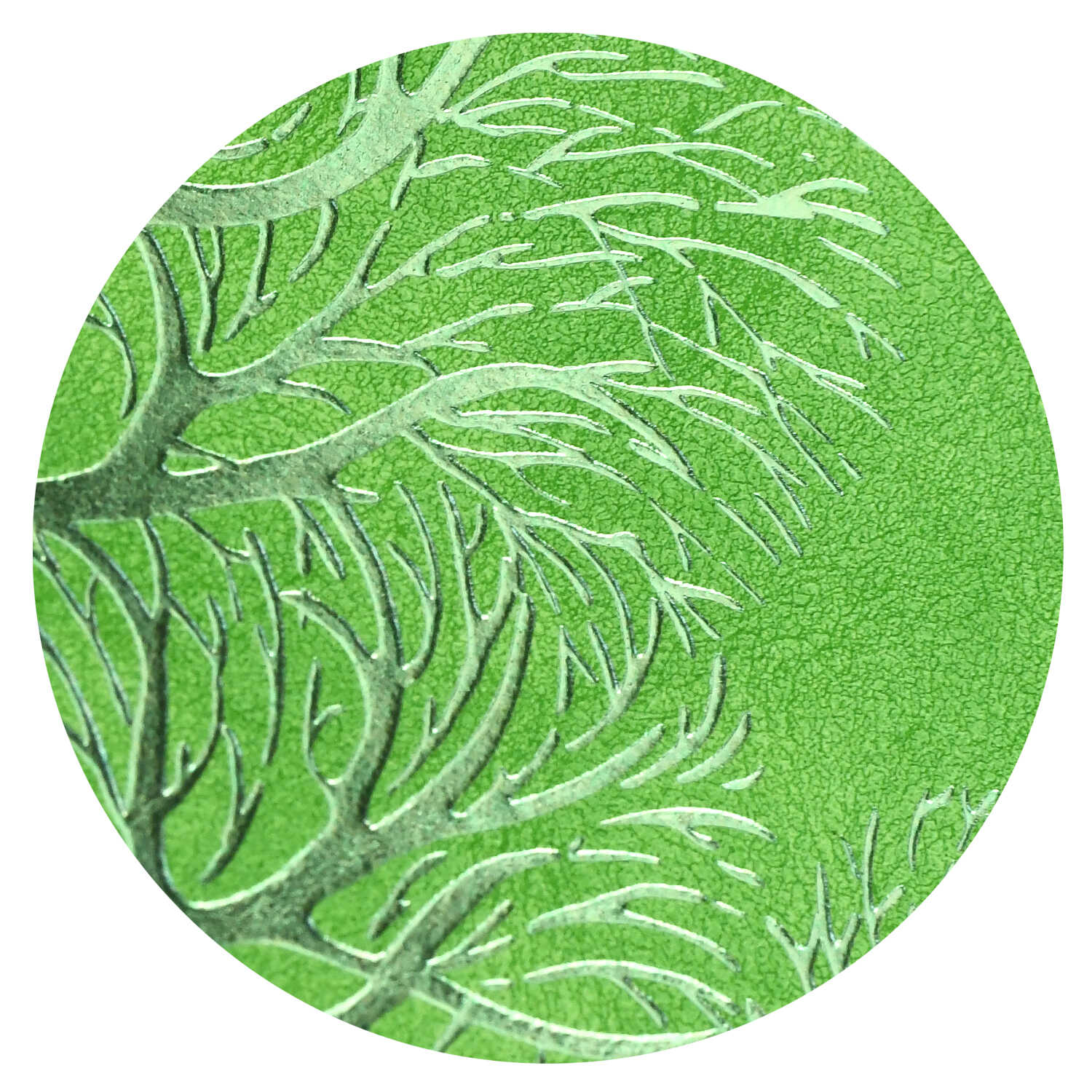 Ежедневник Феникс + ESCALADA 120 лист. - фото 2