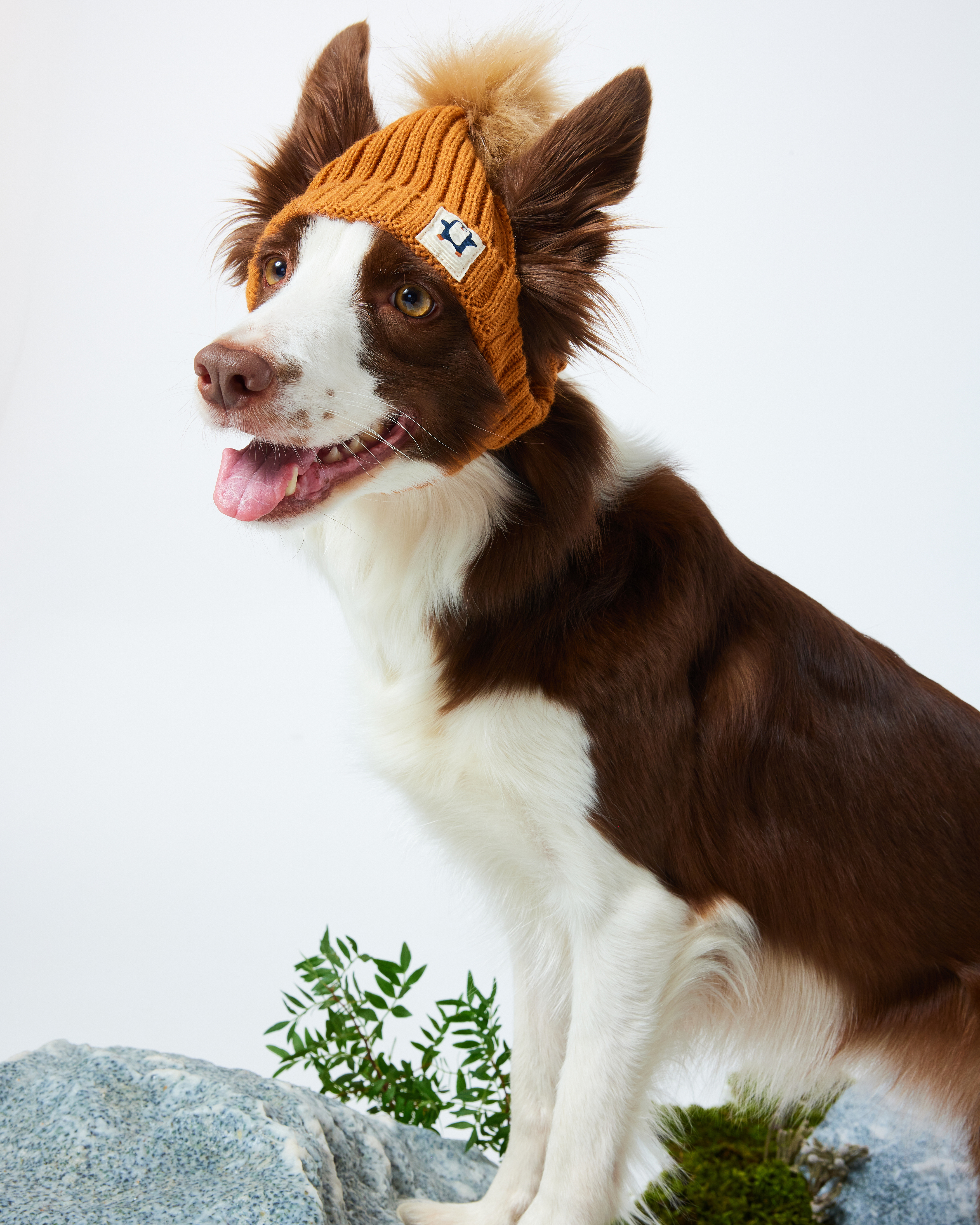 Шапка для собак и кошек Зоозавр - фото 10