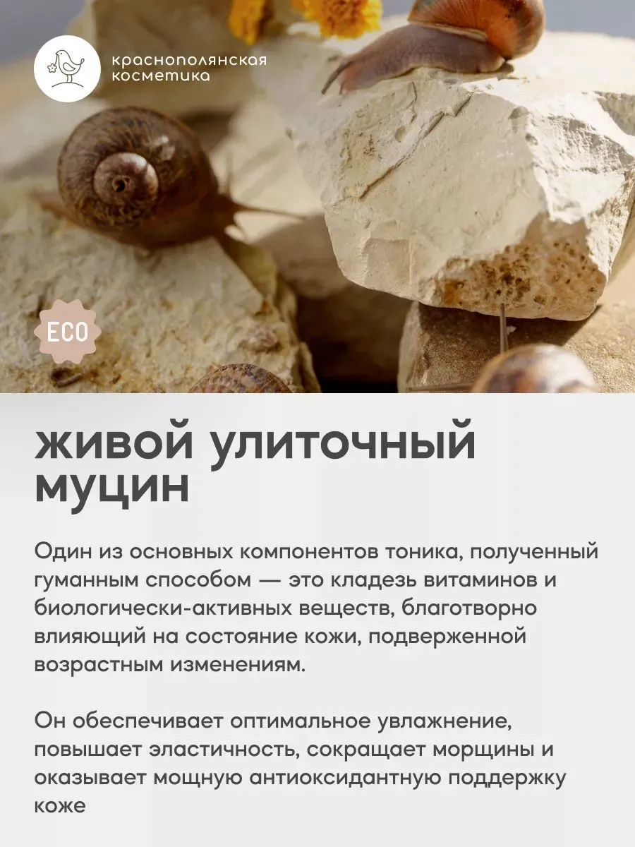 Набор Краснополянская косметика Муцин Ламинария Витамин С крем, тоник - фото 8