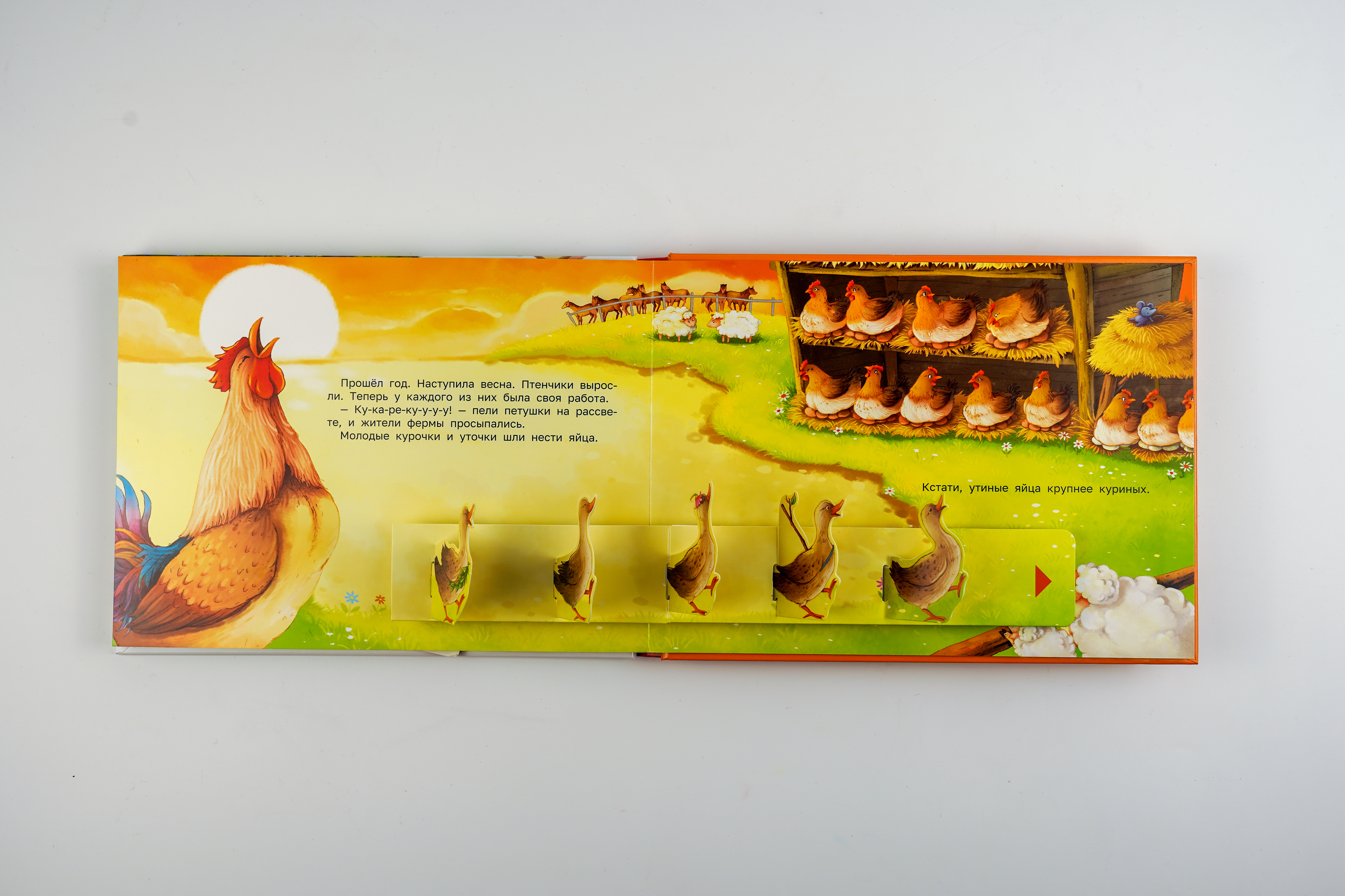 Книга АСТ Приключения на ферме - фото 2