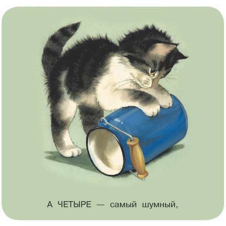 Книга АСТ Котята