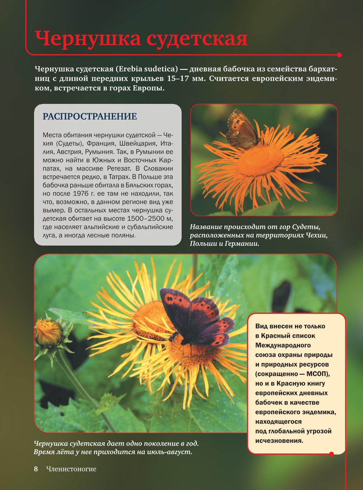 Энциклопедия АСТ Красная книга - фото 5