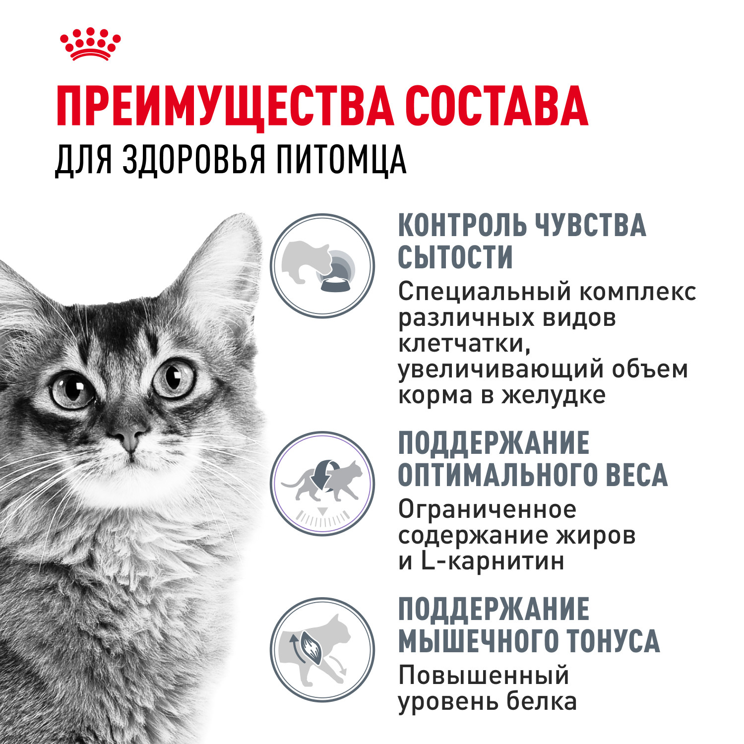 Корм для кошек ROYAL CANIN Light Weight Care для взрослых кошек в целях профилактики избыточного веса 3кг - фото 3