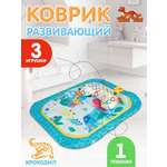 Коврик RIKI TIKI baby