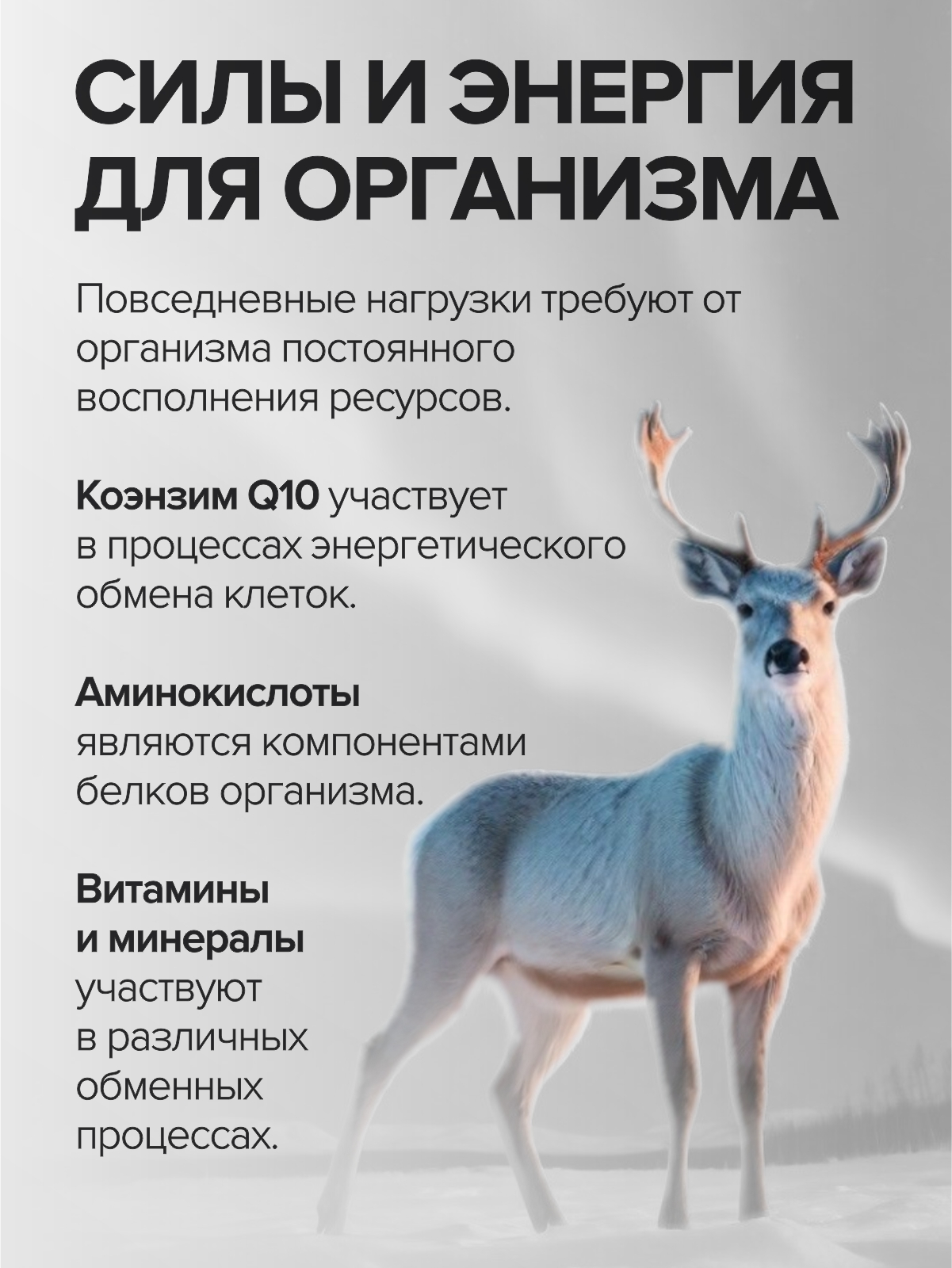 Комплекс витаминов CigaPan Цыгапан мультивитамины для женщин и мужчин 60 капсул - фото 10