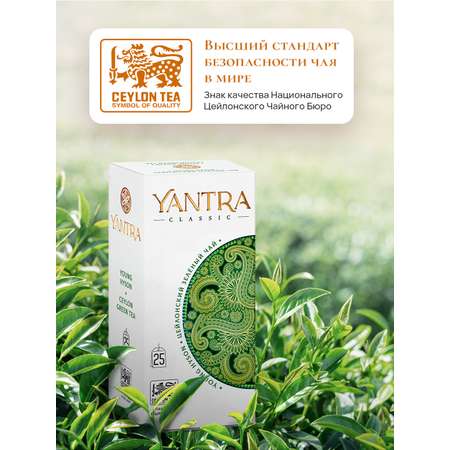 Чай Классик Yantra зеленый Young Hyson 25 пакетиков