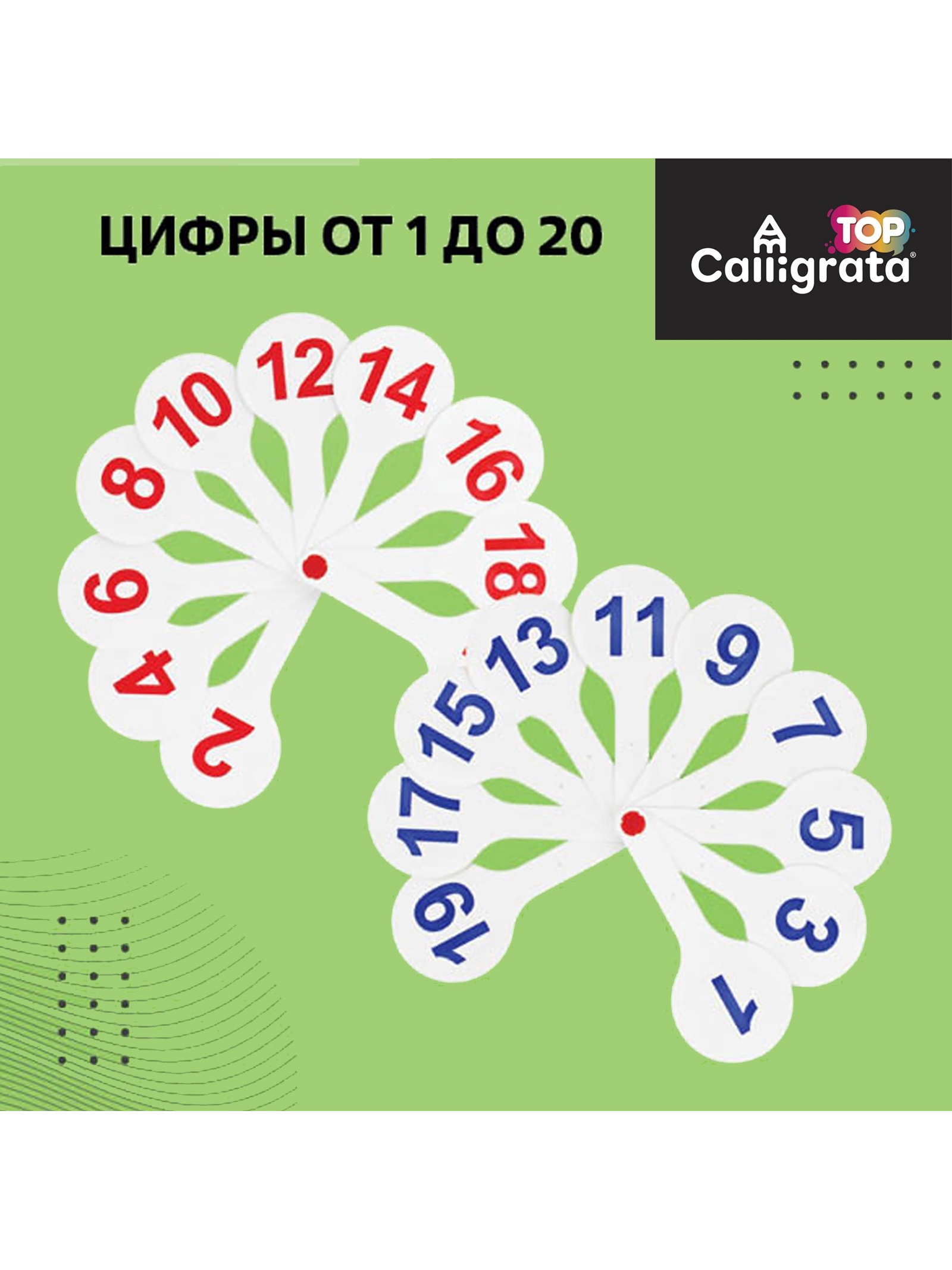 Касса-веер Calligrata - фото 2
