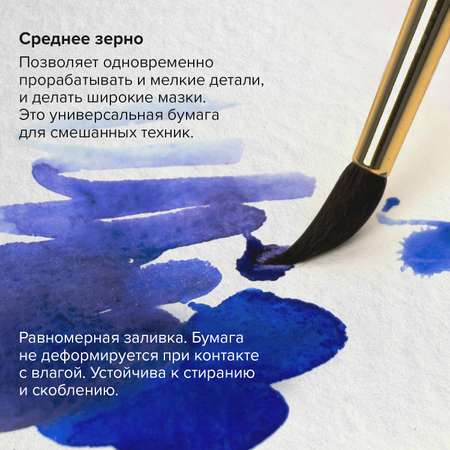 Альбом Brauberg А3 10 лист.