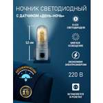 Ночник PROconnect