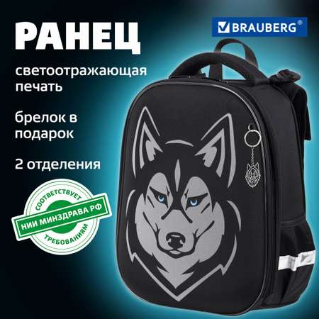 Ранец Brauberg
