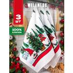 Полотенце Wellness Гномики 38 x 63 см 3 шт.