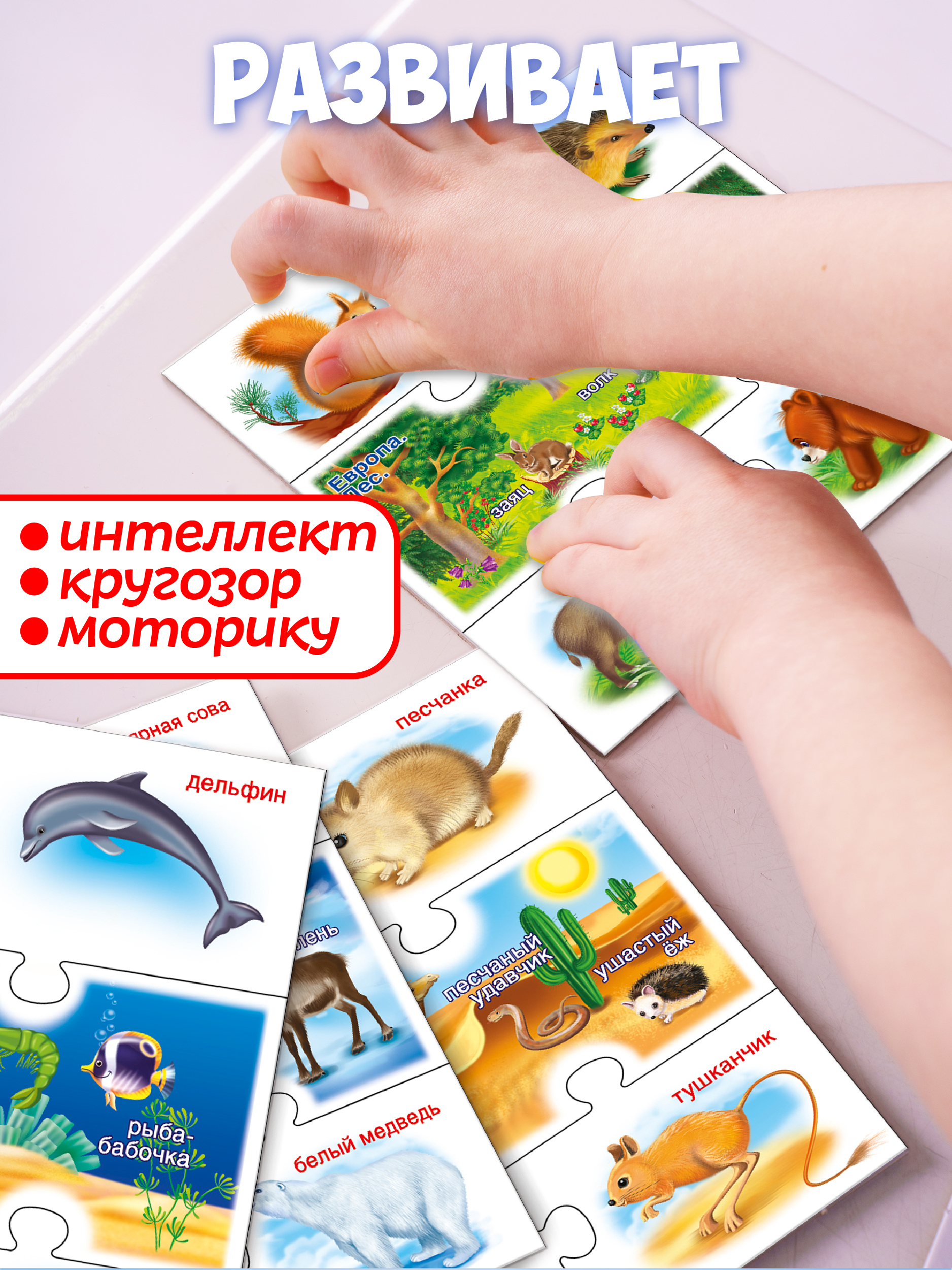 Настольная игра Русский стиль Мир Животных - фото 2