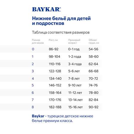 Комплект Baykar