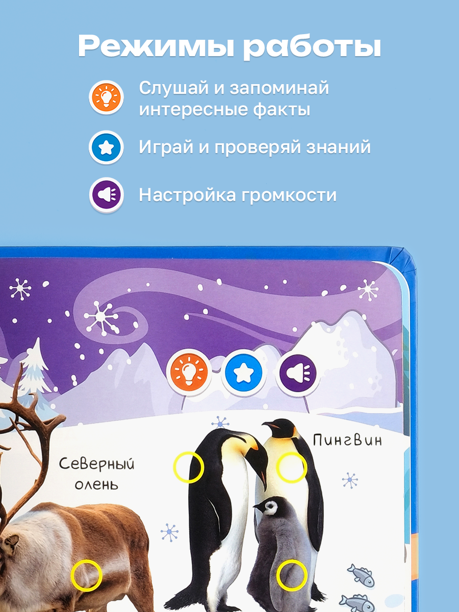 Комплект говорящих книжек BertToys Нажималки: Животные + Я и Мир Вокруг - фото 9