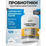 Биологически активная добавка VitaMeal Пробиотики и пребиотики для ЖКТ и микрофлоры кишечника 120 капсул
