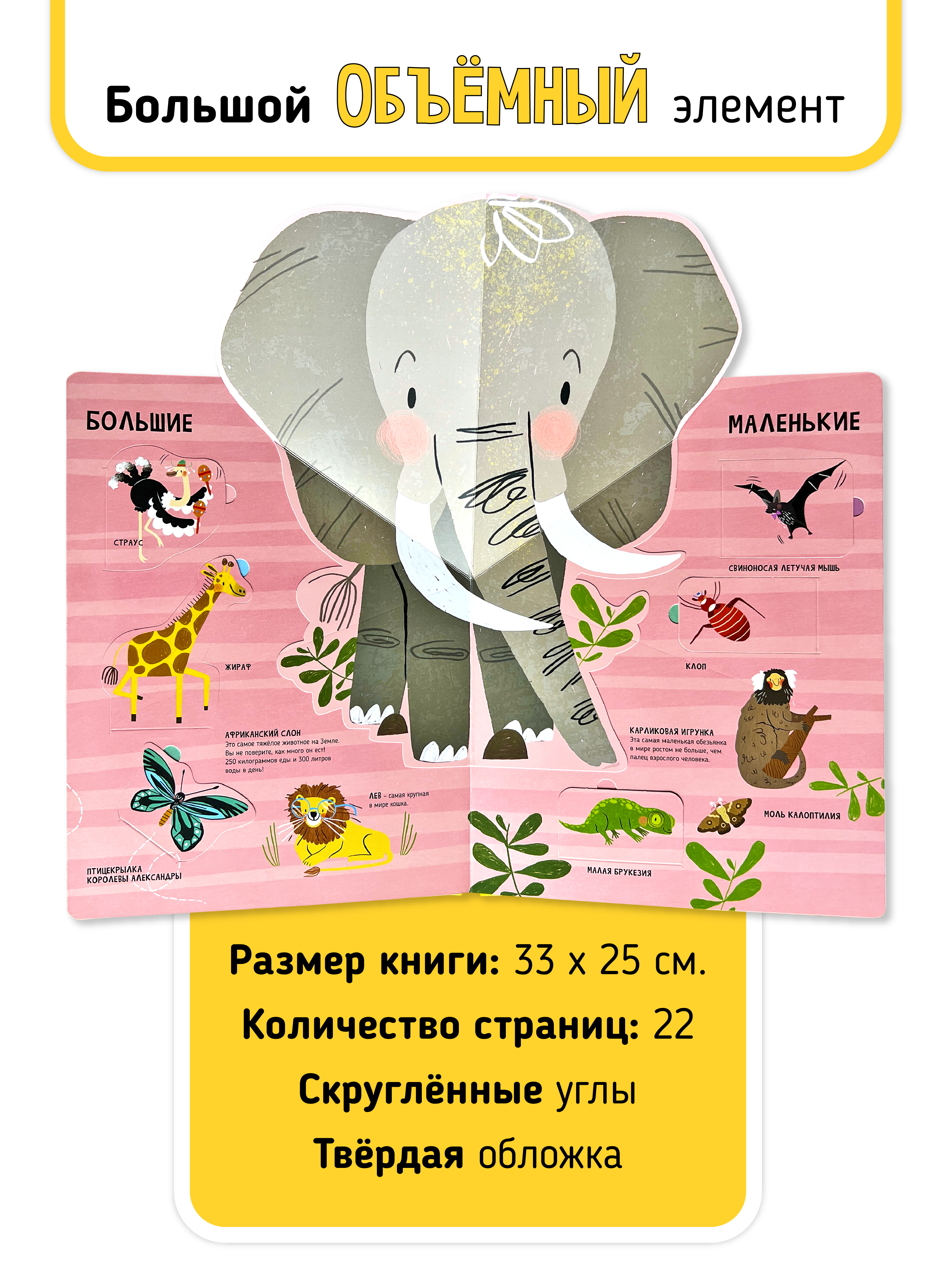 Книга с окошками и pop up Счастье внутри из научной серии Дискавери с интерактивными страницами Животные - фото 3