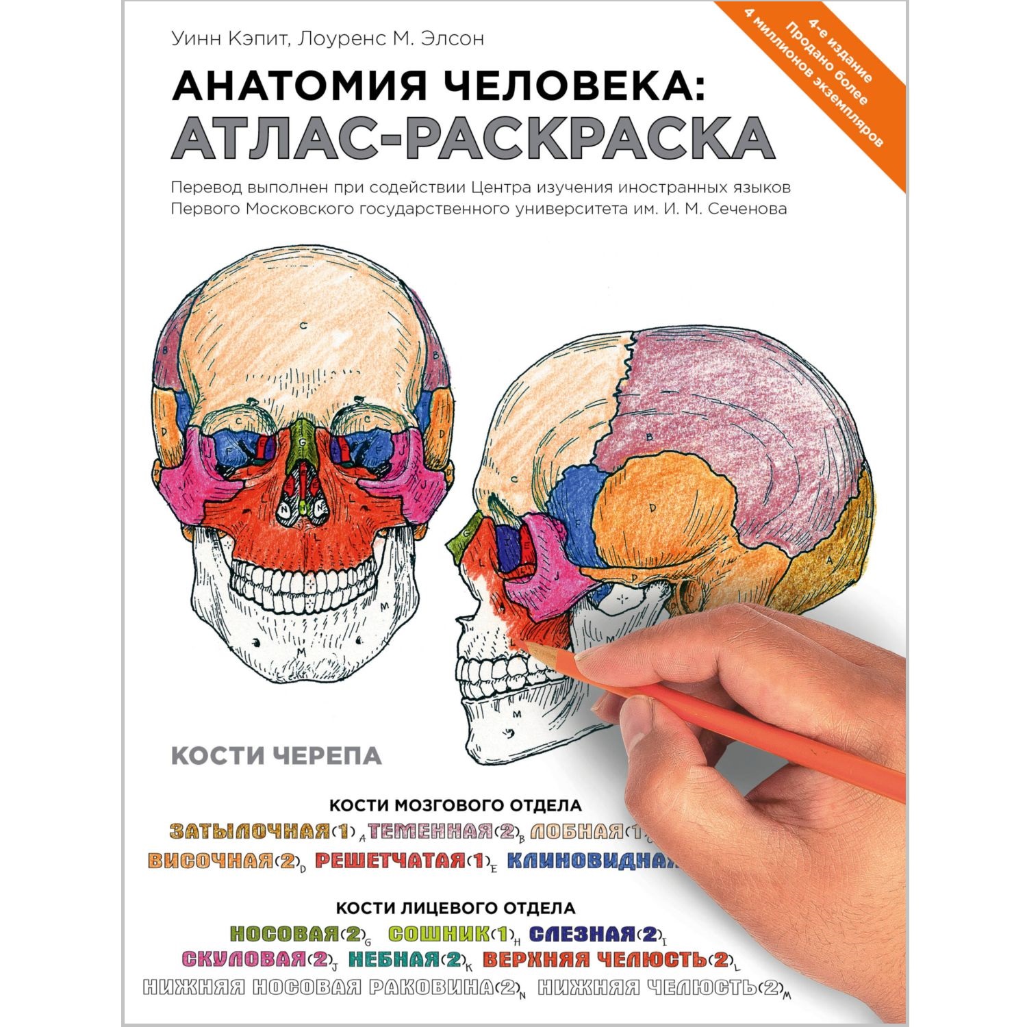 Книга ЭКСМО-ПРЕСС Анатомия человека атлас-раскраска - фото 1