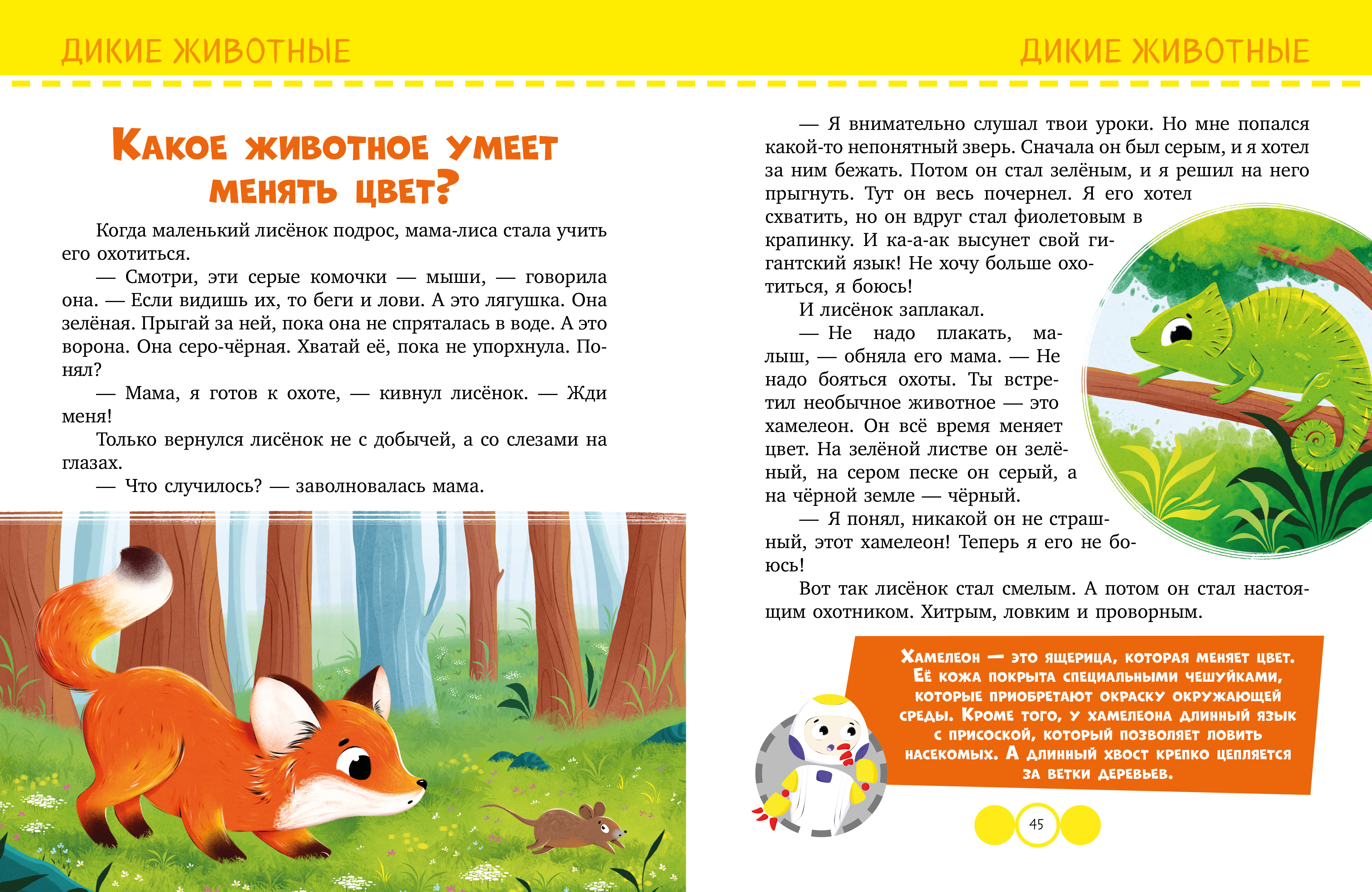 Подарок для почемучки Clever Обо всём на свете - фото 5