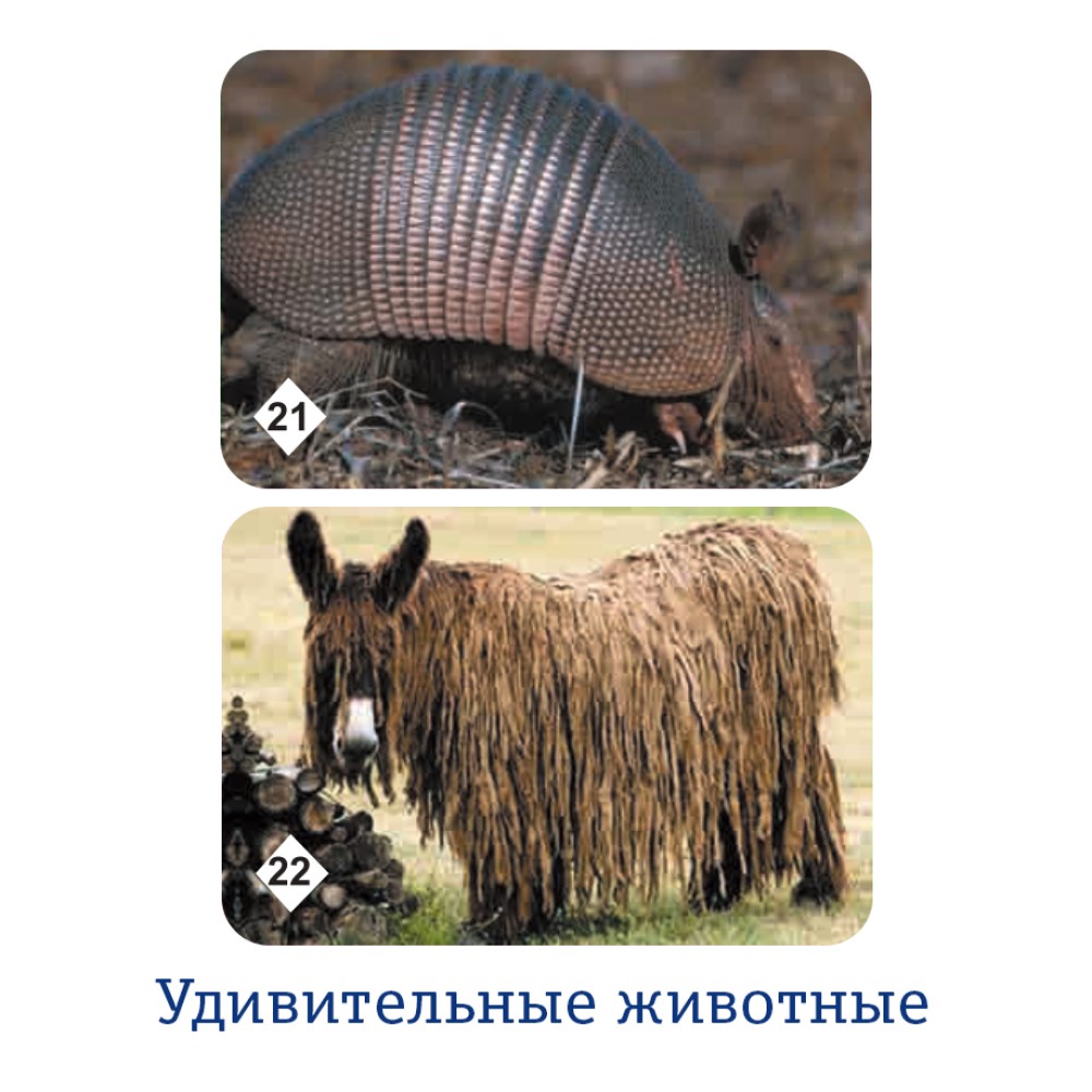 Настольная игра Нескучные игры Мемо - фото 14