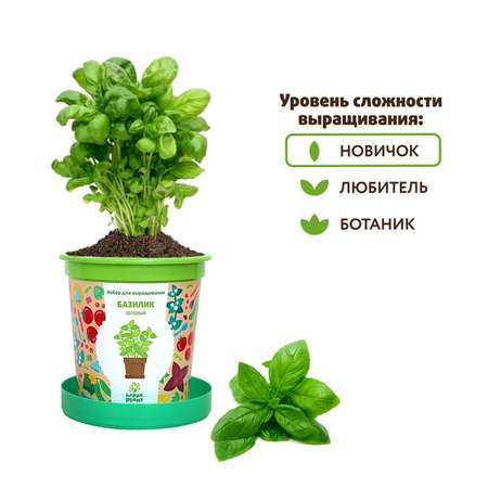 Набор для выращивания Happy Plant