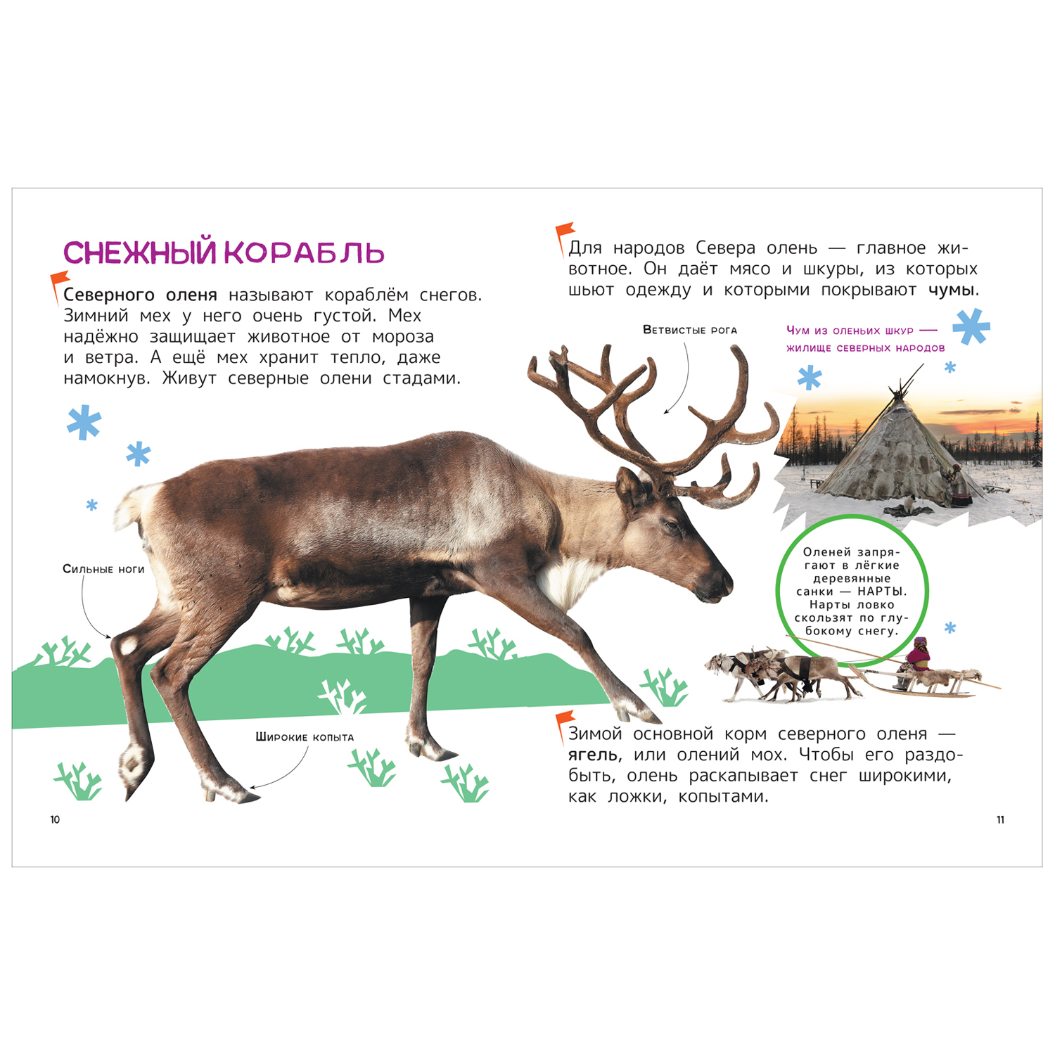 Книга Животные Энциклопедия для первого чтения с крупными буквами - фото 2