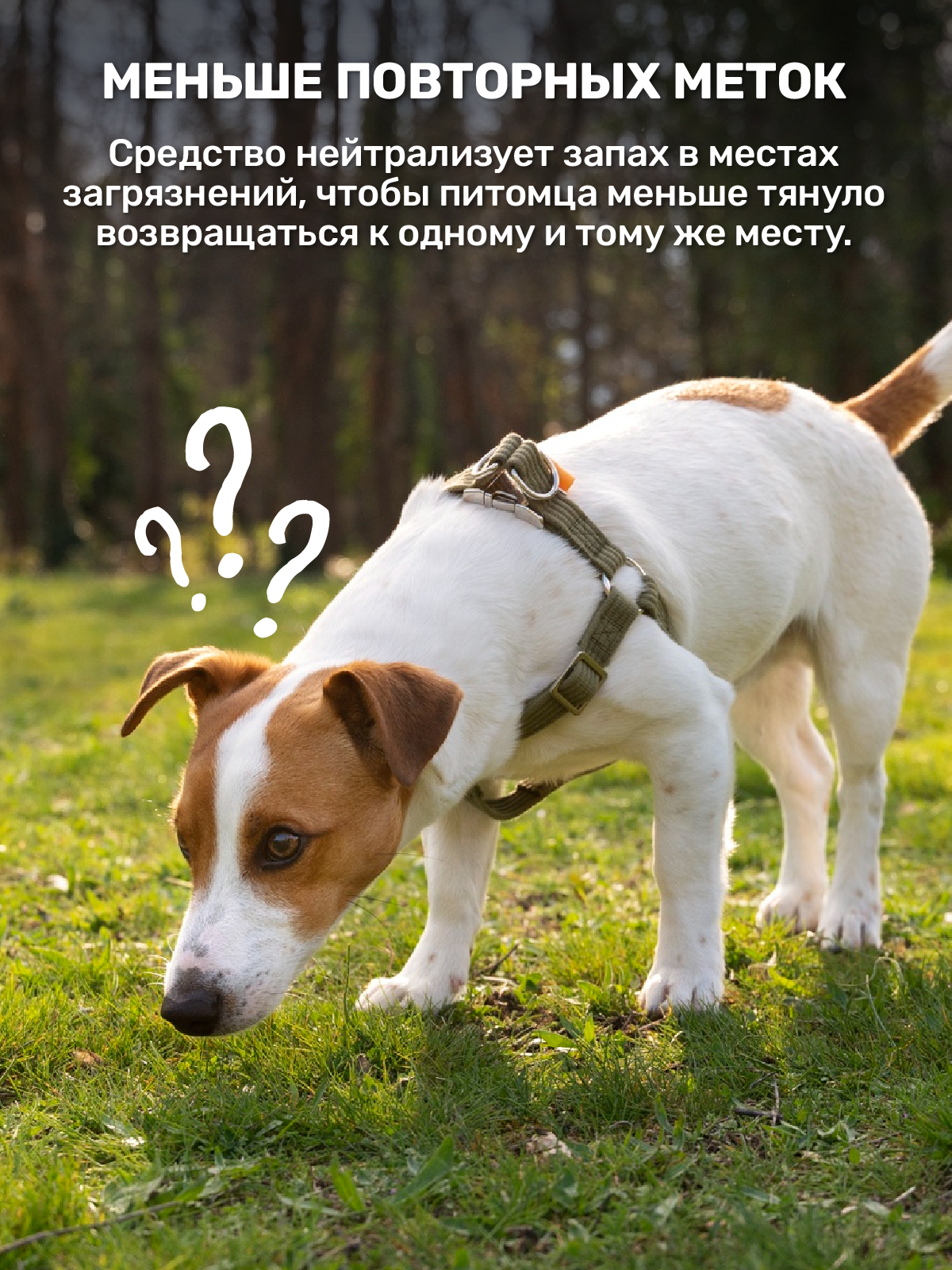 Спрей для собак и кошек ZOORIK ликвидатор меток и запахов - фото 6