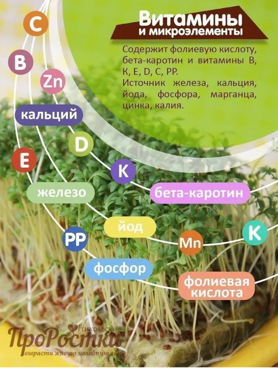 Семена для микрозелени MegaMedia кресс-салат - фото 4