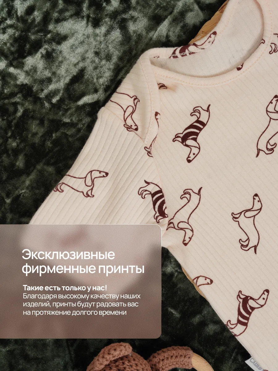 Боди 3 шт Супер Пупс нбр/3пр/бд/коррук/2026/таксы - фото 6