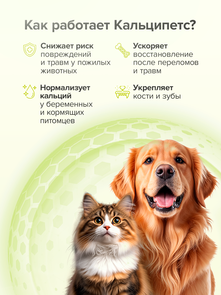 Корм для животных Pets health для поддержки костной ткани после травм и нагрузок собак и кошек - фото 2