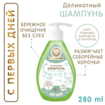Шампунь INSEENSE