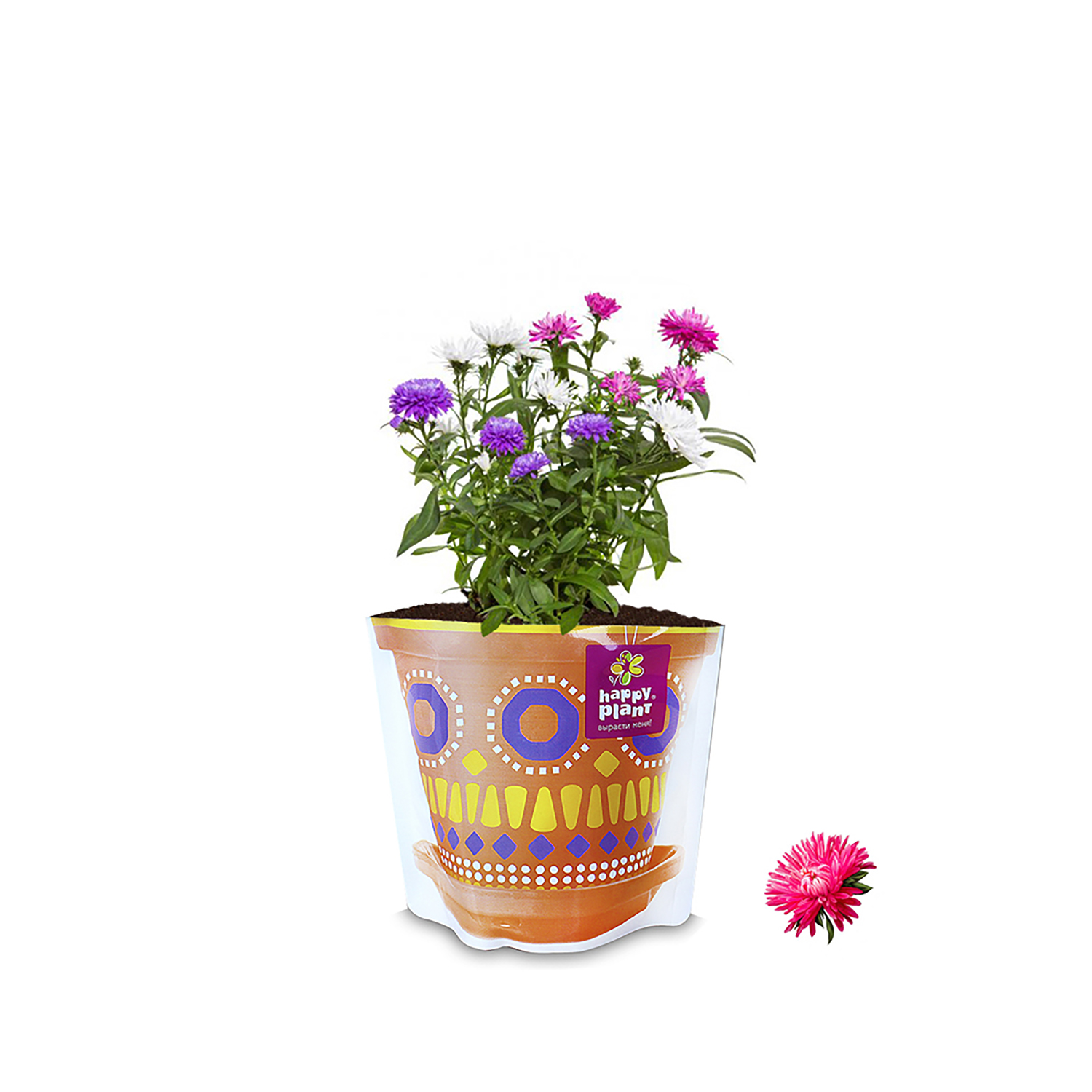Набор для выращивания Happy Plant - фото 3