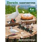 Игровой набор DARWIN Животные Утка