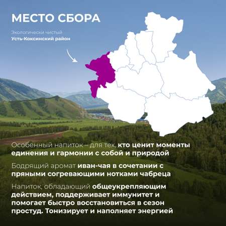 Напиток чайный Предгорья Белухи Иван-чай в пакетиках ферментированный с чабрецом 45 гр