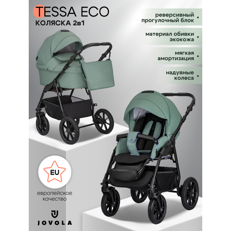 Коляска 2в1 JOVOLA Tessa Eco Te 01 шалфей